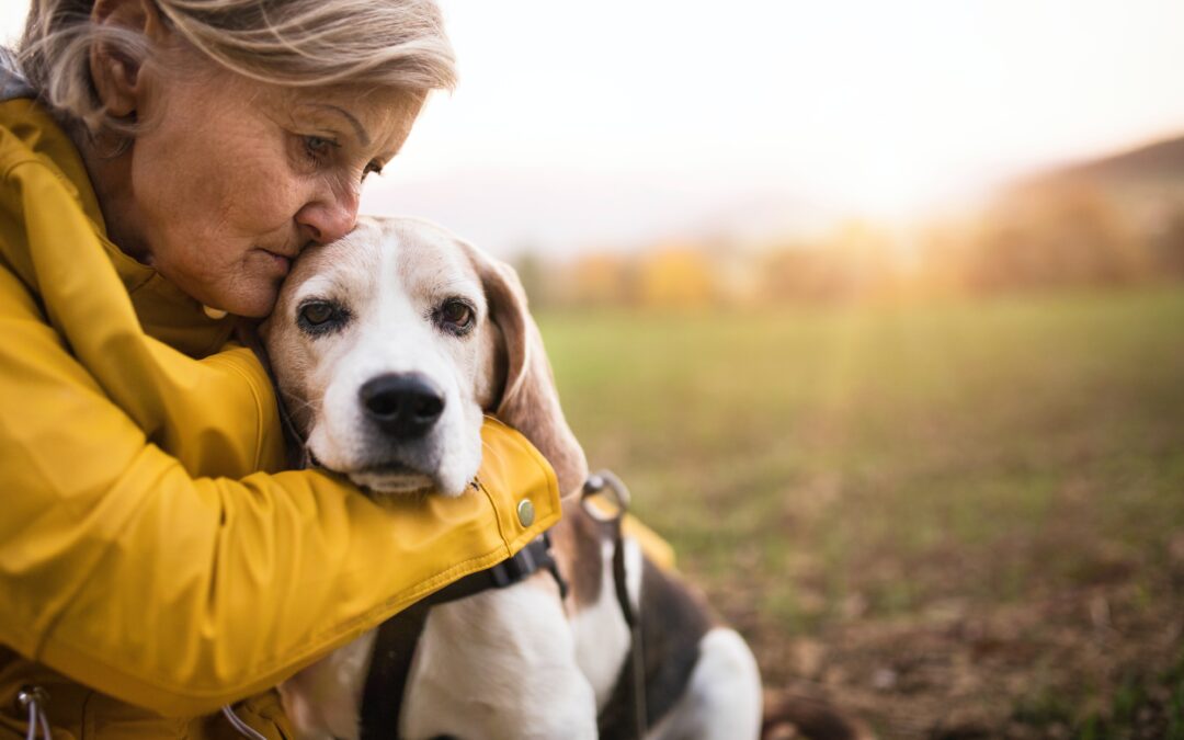 Embracing Wisdom: The Beauty of Adopting Senior Pets