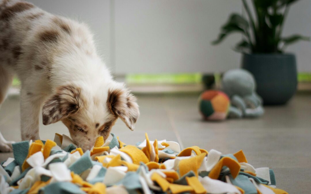 Toxic Tails: Identifying and Avoiding Pet Poisons in Your Home